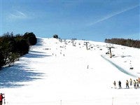 ■●夜発バス 菅平高原スノーリゾート【全山リフト券】 菅平イナリールホテル(2泊4日)3